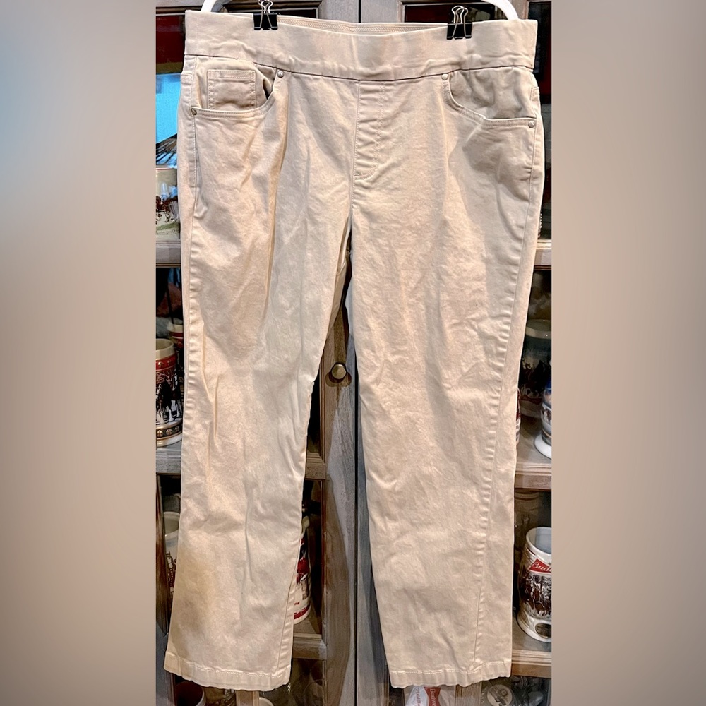 PLUS Gloria Vanderbilt Slimming Pants